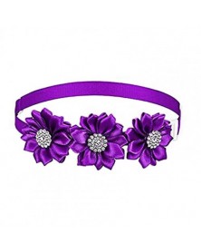 Purple-Pet Flower...