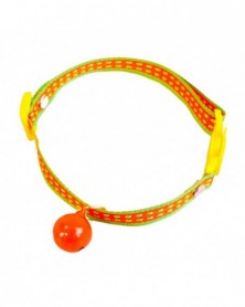 Orange-Dog Collar...