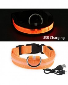 XS Neck 28-40 CM-Orange USB...