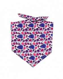 Purple-Pet Bandana...