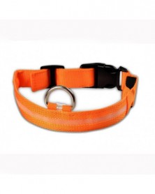 XS 28-38cm-Orange-Glowing...