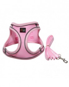 M size-P - Pet Cat Leash...