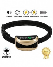 Gold - Collar for Dogs...