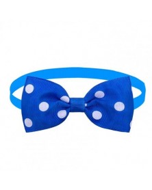 Blue-Pet Neck Bow Wave Dot...