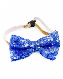 Blue-Practical Pet Bow...