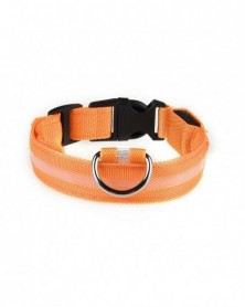 Orange M-Pet Collar Dog...