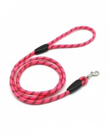 Rose Red-Durable Pet...