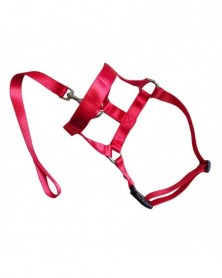 L size-Red-Nylon Dogs Head...