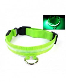 S size-G-Pet Dog Collar...