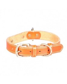 XS size-Orange-Pet Collar...