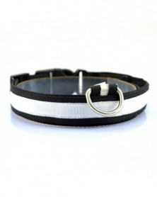 White S-Nylon Dog Collars...