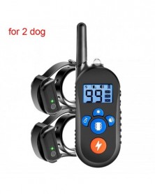 EU Plug-2 receivers - Dog...