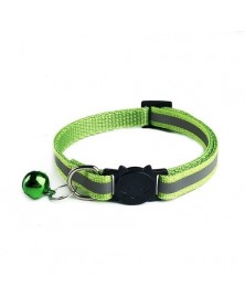 Light green-Pet collar...