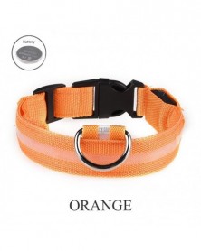 XS size-orange-Dog Collar...