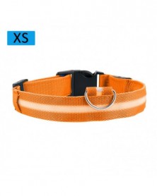 XS size-orange-1Pc Flashing...