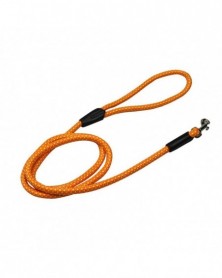 Orange-Pet Traction Leash...