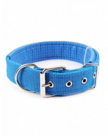 Dark blue-Nylon Dog Collar...