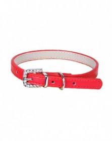 XS size-Red-Durable Dog...