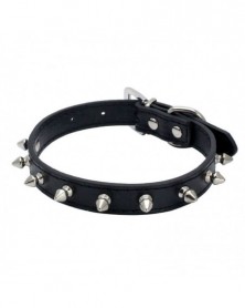 S size-Black-Rivet Pet...