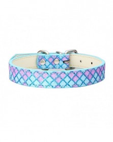 XS size-1-Pet Collar...