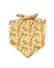 Yellow-Fun Pet Bandana...