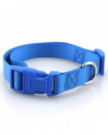 XS size-Blue-Nylon Webbing...