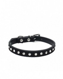 XXS size-Black-1PCs Small...