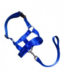 M size-Blue-Nylon Dogs Head...