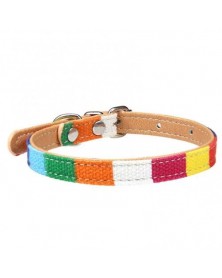 4-Pet Collar Colored...