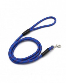 Royal Blue-Lovely Dog Strap...