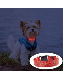 E-Led Luminous Pet Dog...