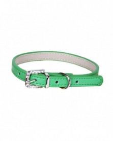 XS size-Green-Pet Necklace...