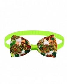 D-Dog Collar Bight-colored...