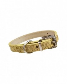 M-Golden-Pet Collar...