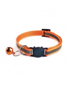 Orange-Pet collar...