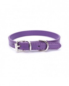 37cm-Purple-Solid Dog...