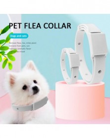 02-Pet Dog Cat Collar Flea...