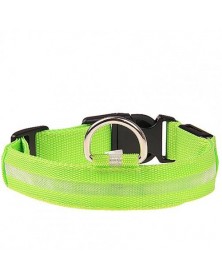 S size-Green-Nylon LED Dog...