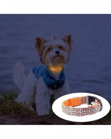 C-Led Luminous Pet Dog...