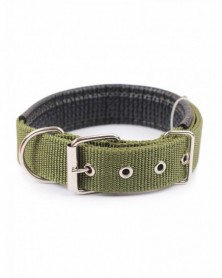 Green-Nylon Dog Collar...