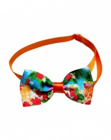 8-Soft Cat Collar Headwear...