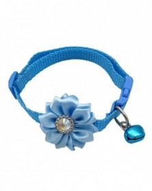 Sky blue-Dogs Collar Lovely...