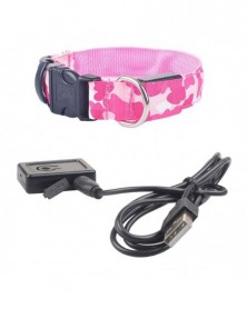 S size-P - Pet Dog Collars...