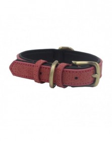 XS size-R - Pet Dog Collar...