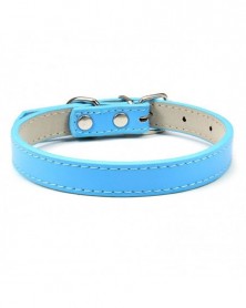 XS size-light blue - Pet...