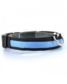 Blue S - Nylon Dog Collars...