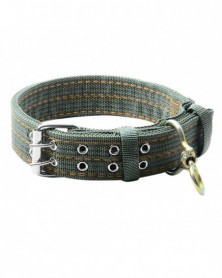 L - Nylon Webbing Dog...