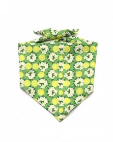 Green - Pet Bandana...