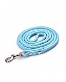 sky blue - 5 Colors Pet...