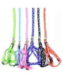 Cheap Harness Leash for...